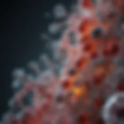 Overview of Propranolol Mechanisms