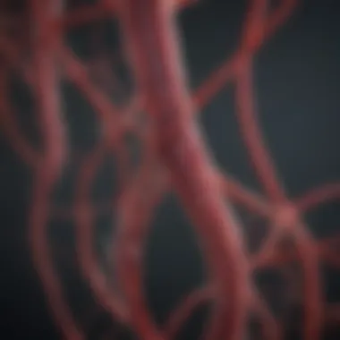 Visual representation of advancements in vascular research