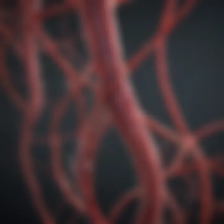 Visual representation of advancements in vascular research