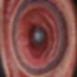 Detailed cross-section of a healthy artery showcasing layers and structure