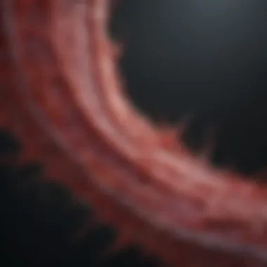Graph showing the impact of vascular diseases on blood vessel function