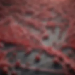 Diagram illustrating the biochemical pathway of heme synthesis