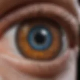 Detailed ocular anatomy highlighting glaucoma impact