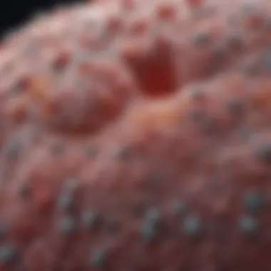 Current Treatment Modalities for Non-Small Cell Carcinoma Current treatment modalities for non-small cell carcinoma