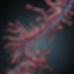 Detailed molecular structure of beta actin sigma