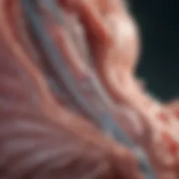Illustration of brachytherapy application in rectal cancer treatment