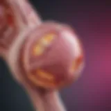 Illustration depicting the mechanisms of metastasis in breast cancer to the hip.