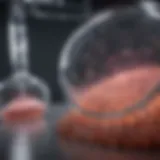 Advanced cancer testing technology