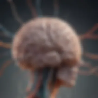 Understanding Brain Connectivity Illustration depicting the brain's connectivity