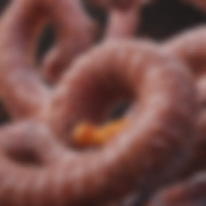 Early signs of colorectal cancer