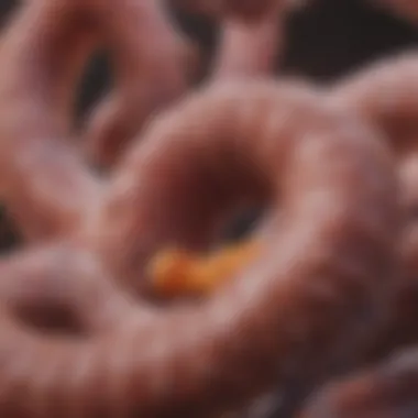 Early Signs of Colorectal Cancer Early signs of colorectal cancer