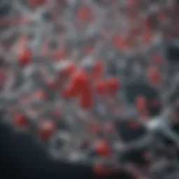 Detailed molecular structure of Ambion Proteinase K