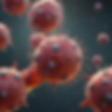 Significance in Therapeutic Applications Infographic highlighting the significance of HCP antibodies in therapeutic applications