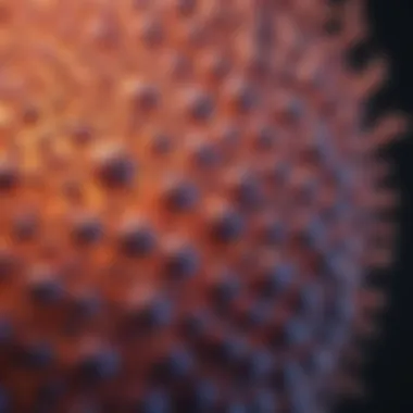 Microscopic Structure of Lipoprotein(a) Microscopic view of lipoprotein(a) structure