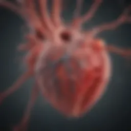 Illustration of coronary arteries affected by arteriosclerosis