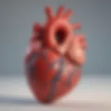 An anatomical illustration of the heart highlighting congestive heart failure