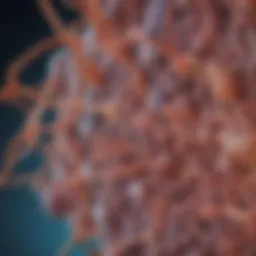 Microscopic view of connective tissue architecture