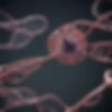 Ethics Surrounding CRISPR and Cancer Treatment Ethical considerations in genetic modifications