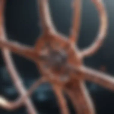 The Mechanism of CRISPR in Cancer Treatment CRISPR technology in action