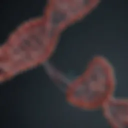 Diagram illustrating the CRISPR gene editing mechanism