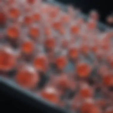 Optimizing Culture Conditions for Enhanced MSC Proliferation Optimized culture conditions for cell proliferation