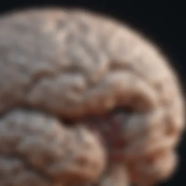 Illustration showing the brain with stimulation sites highlighted