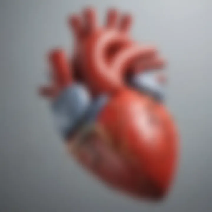 Visual depiction of the heart and its electrical conduction system