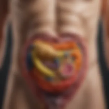 Visual representation of gut health and diet