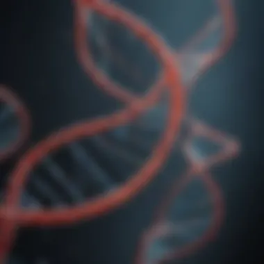 Visualization of DNA strands