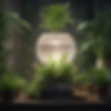 Air Purification Mechanism through Indoor Plants Illustration of air purification process by plants