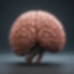 A vibrant brain illustration symbolizing cognitive enhancement