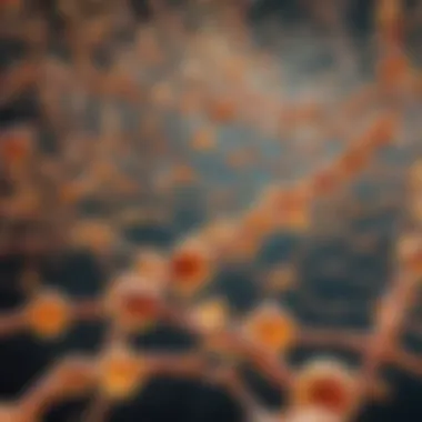 Illustration depicting the biochemical pathways of vitamin D in immune response.