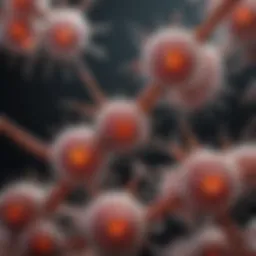 A microscopic view of cellular aging