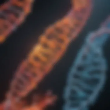 Mechanisms of Bacterial DNA Replication Illustration showcasing the replication mechanism of bacterial DNA