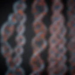Intricate DNA Helix