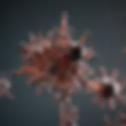 Chemical structure of Compound C