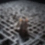 A sophisticated maze used for behavioral testing in rats