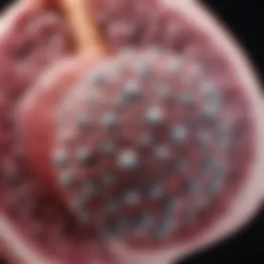 Efficacy and Safety of Docetaxel Efficacy and safety profile of docetaxel in lung cancer
