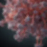 Mechanism of action of docetaxel in lung cancer therapy