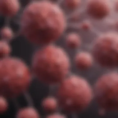 Composition of the Prothrombin Complex Diagram depicting the composition of the four factor prothrombin complex