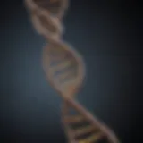 A DNA strand symbolizing genetic lineage