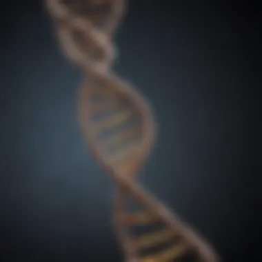 A DNA strand symbolizing genetic lineage