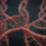 Illustration of mutagenic agents affecting DNA structure