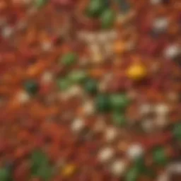 An assortment of legumes showcasing their vibrant colors and textures