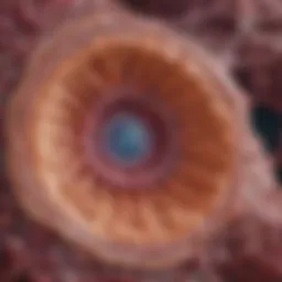 Illustration depicting the cellular structure of Merkel cell carcinoma
