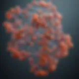 Molecular structure of sigma oligonucleotides