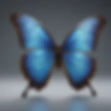 A computational model showcasing morpho in evolutionary biology.