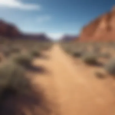 Vast desert landscape under a clear blue sky