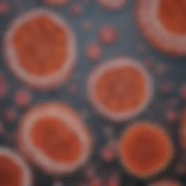 Diagram showing the principles of immunohistochemistry