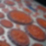 Illustration of the immunohistochemistry staining technique